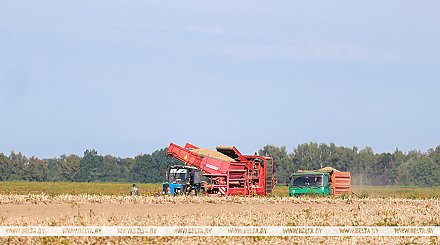 Александр Лукашенко потребовал усилить культуру земледелия