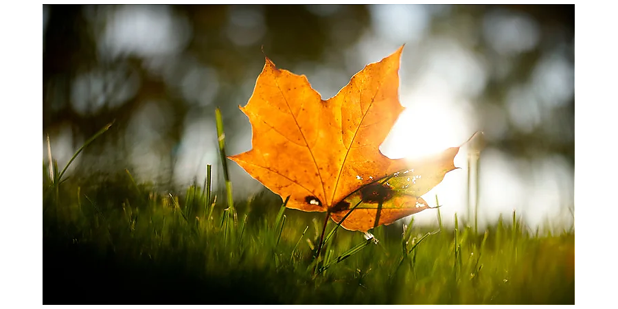 Какая каша поможет привлечь достаток в дом: приметы и суеверия на 22 октября 