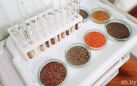 Лидские специи запретили к продаже: обнаружили плесень и кишечную палочку