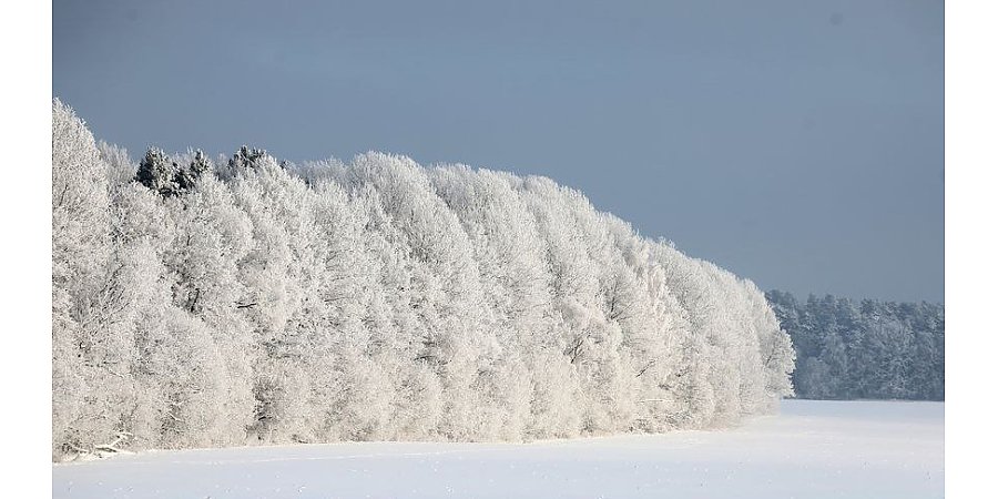 Премущественно без осадков и до -18°С будет сегодня в Беларуси