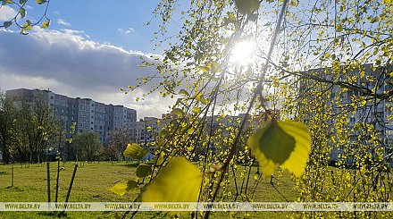 Снова дождь и мокрый снег? Какой будет погода 28 апреля в Беларуси, рассказали в Белгидромете