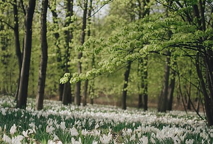 Народные приметы на 1 апреля 2025: что можно и нельзя делать в этот день