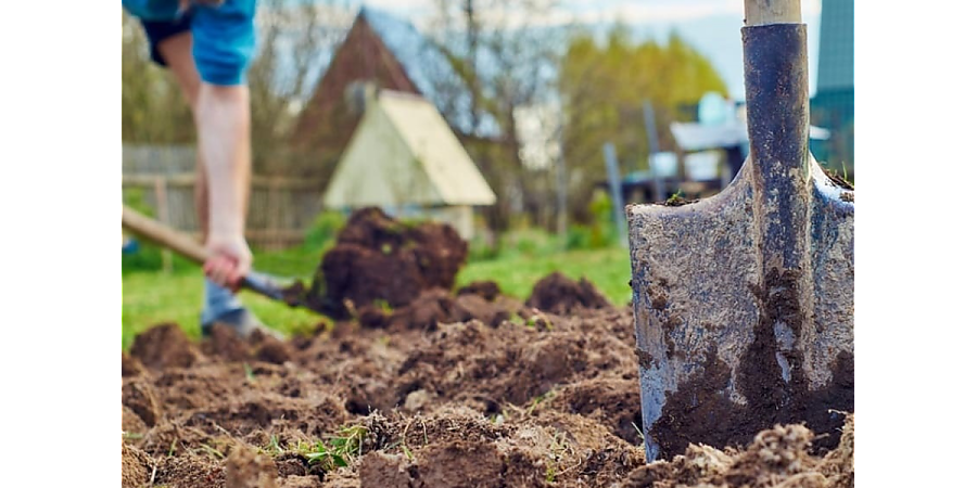 Не губите землю и будущий урожай: список подкормок, которые нельзя добавлять осенью