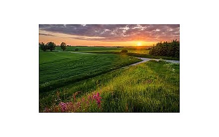 Народные приметы на 5 июля 2025 года: что можно и нельзя делать в этот день