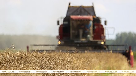 Минтруда: в разгар уборочной на особом контроле условия работы на предприятиях АПК