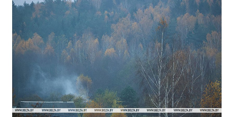 В МЧС напомнили о факторах опасности из-за тумана