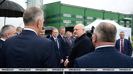 "Это наша перспектива". Александр Лукашенко о производстве пеллет и использовании местных видов топлива