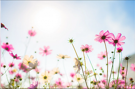 Народные приметы на 10 июня: что можно и нельзя делать в этот день