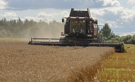 В Гродненской области намолотили более 1,8 млн тонн зерновых