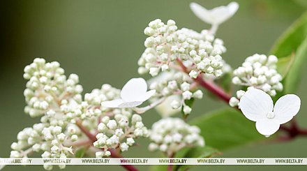 Неспокойный и жаркий характер погоды обещают синоптики на последней неделе июля
