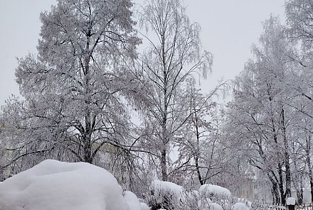 Ночью до -25..-30°С. Оранжевый уровень опасности объявлен в Беларуси 15 января