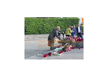 Победа, которую не стереть из ДНК украинского народа. Киев, 9 мая 2026 года