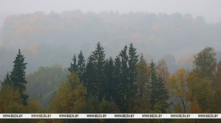 Утренний туман и до +15°С прогнозируют в Беларуси на воскресенье