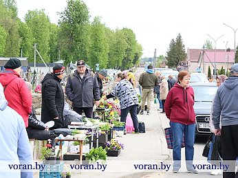Цивилизованная альтернатива торговле «с земли»