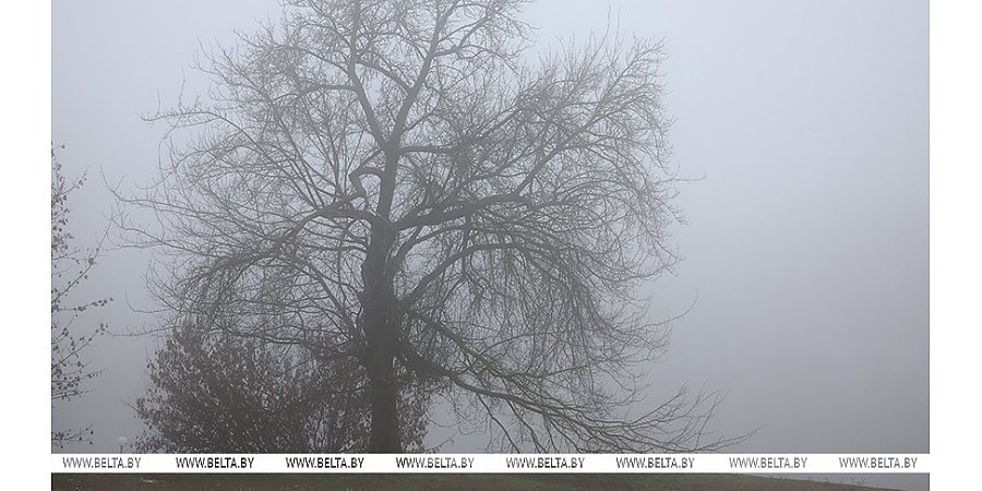 Дождь, мокрый снег и гололед. Какой будет погода в Беларуси в первый день зимы