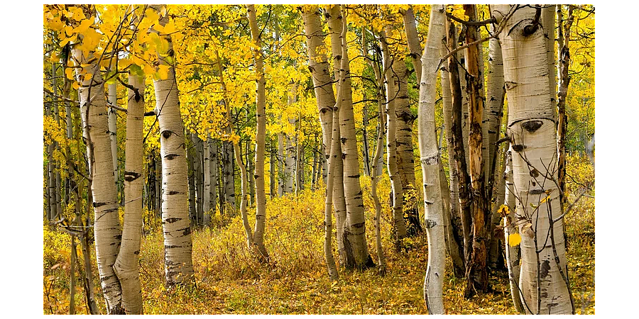 Народные приметы на 18 октября: что можно и нельзя делать в этот день