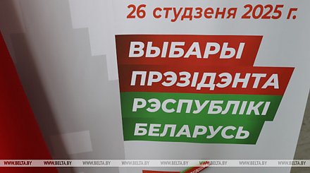 Около 10 тыс. волонтеров БРСМ будут дежурить на избирательных участках