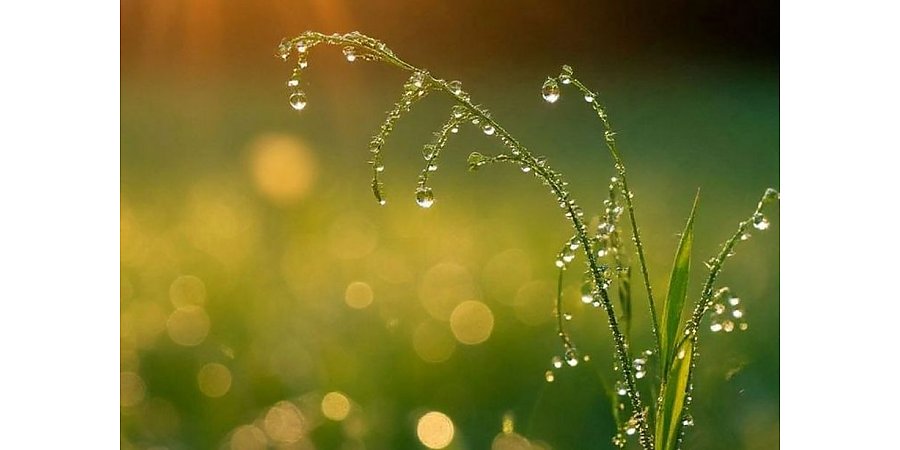 В Беларуси похолодает: синоптики прогнозируют до 7°C