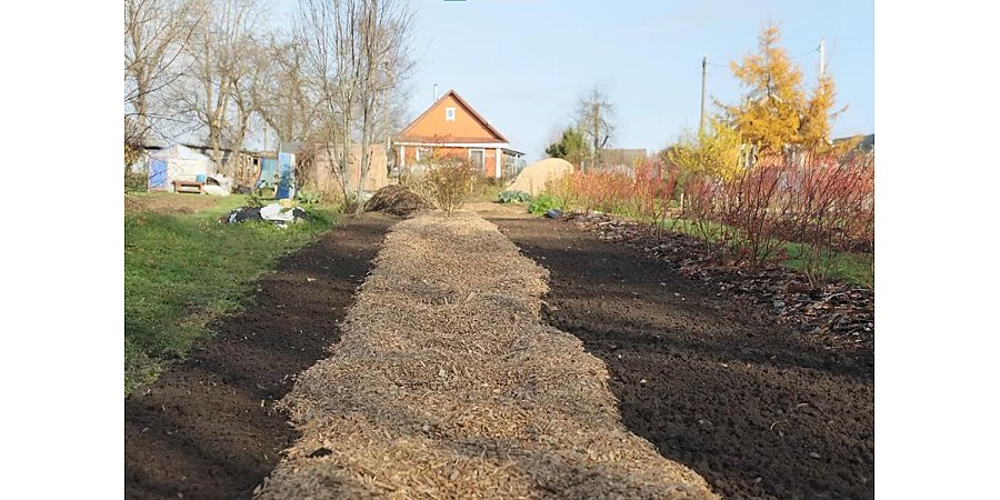 Наведение порядка на участке перед зимой: на что обратить внимание