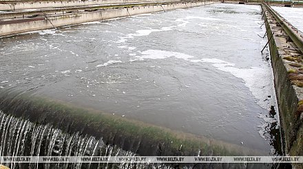 В Беларуси посчитали затраты на охрану окружающей среды