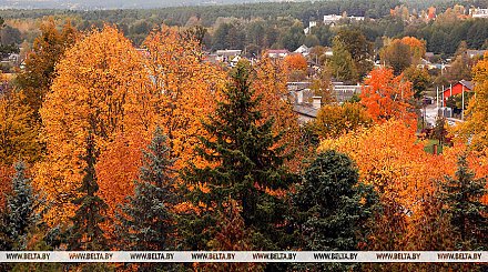 Облачно, временами дожди. Какой будет погода в Беларуси сегодня