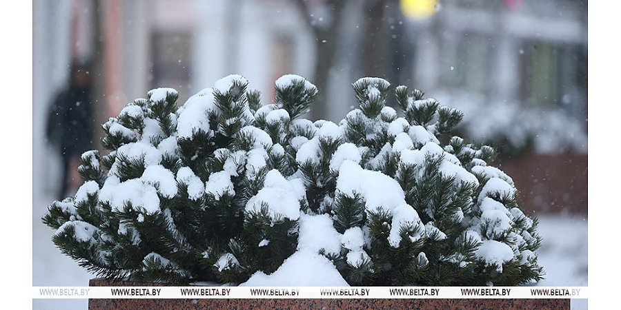 До -23°С и небольшой снег прогнозируют в Беларуси 11 января