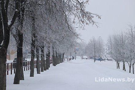 Возможны туман, изморозь, днем до -14°С. Синоптики о погоде в Беларуси 21 января