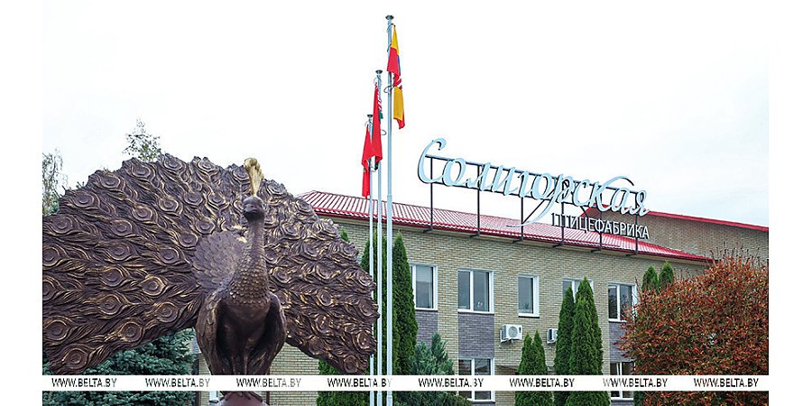 Тренды птицеводства. Александр Лукашенко собрал в Солигорске совещание по развитию отрасли