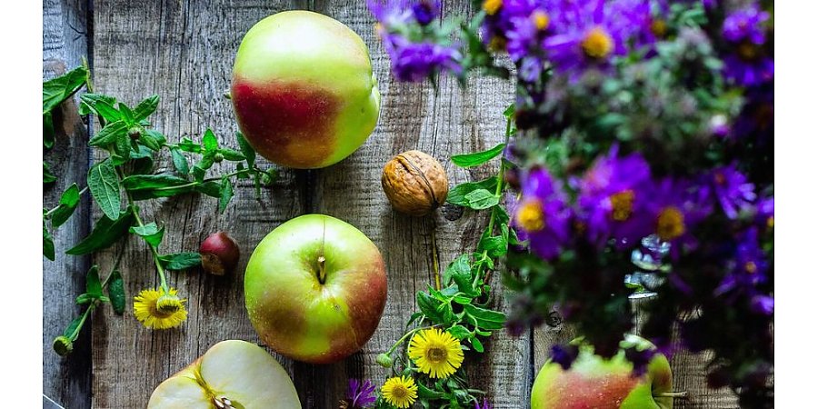 Что делать на даче 1 сентября 2025 года: советы по посадке и уходу за растениями