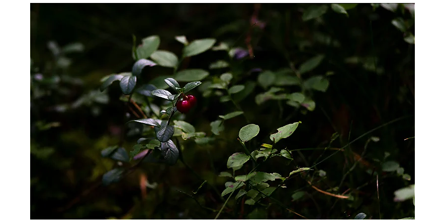 Народные приметы на 5 сентября: что можно и нельзя делать в этот день
