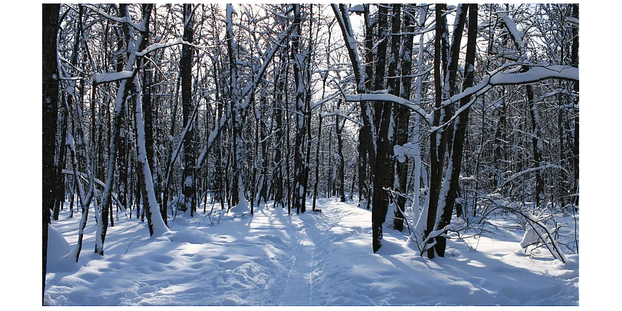 Народные приметы на 3 февраля: что можно и нельзя делать в этот день