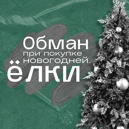 Обман при покупке новогодней елки (инфографика)
