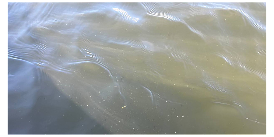 В Вороновском районе в водоеме утонула женщина