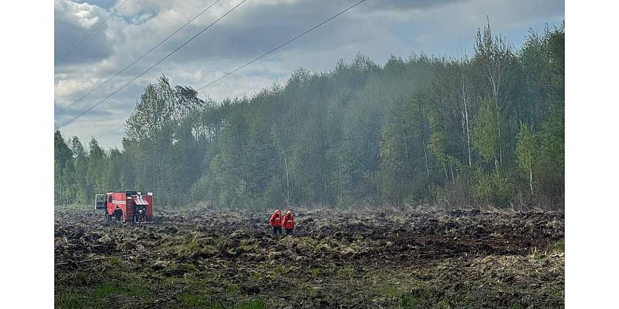 Из-за аномально сухой погоды в Гродненской области сохраняется высокая пожарная опасность