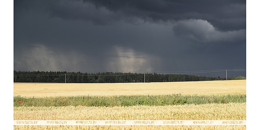 Оранжевый уровень опасности из-за гроз объявлен в Беларуси 15 июля