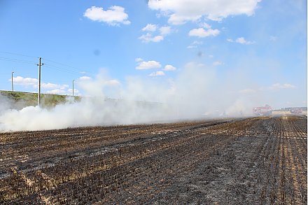 Возгорания посевов и зерносушильных установок тушат спасатели