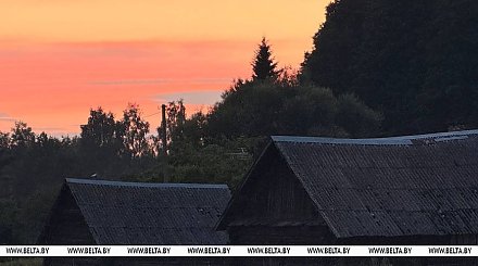 Дожди, грозы и до +24°С ожидается в Беларуси 4 сентября