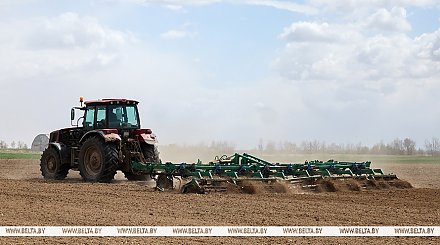 Почти все области Беларуси закончили сев кукурузы на зерно