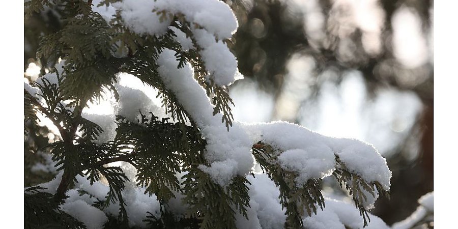Какая погода будет сегодня в Беларуси? Ответили синоптики