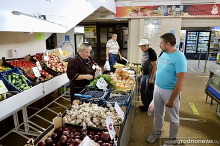 С огорода на прилавок. На Гродненщине активными темпами идет заготовка ягод и плодо-овощной продукции