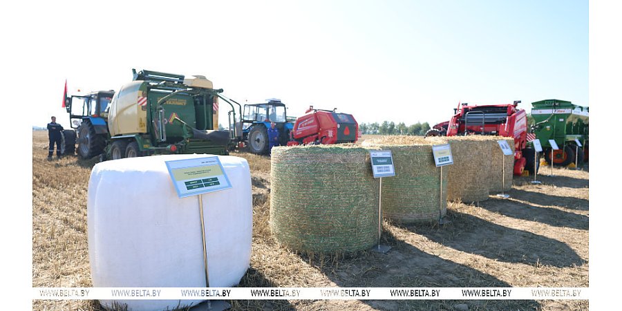 Тест для пресс-подборщика и награды для "Савушкина продукта". Александр Лукашенко посещает Березовский район
