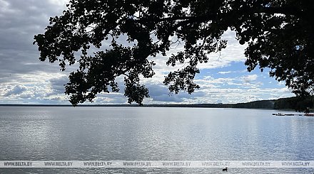 Восемь человек спасены на водоемах Беларуси за сутки