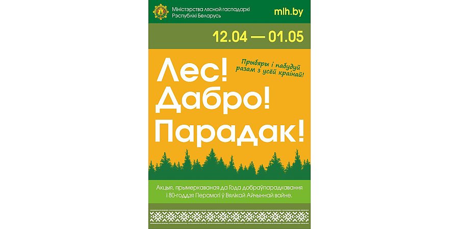 «Лес! Дабро! Парадак!». В Беларуси стартует новая акция по благоустройству лесов