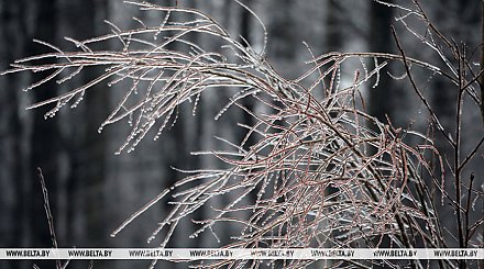 О факторах опасности при гололедице напомнили в МЧС