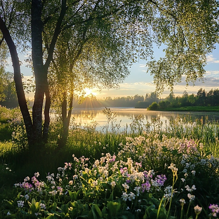 Народный календарь на 13 мая 2025 года: что можно и нельзя делать, приметы и праздники