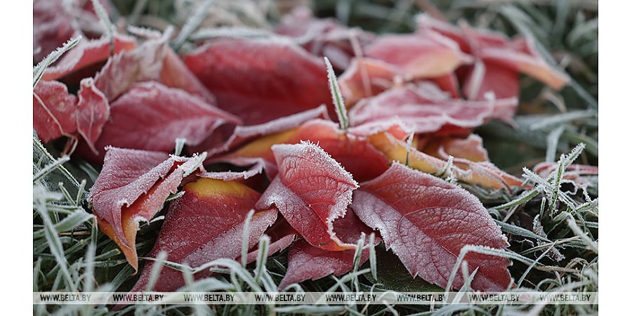 Местами - слабый гололед и порывистый ветер. Какой будет погода в Беларуси 22 октября