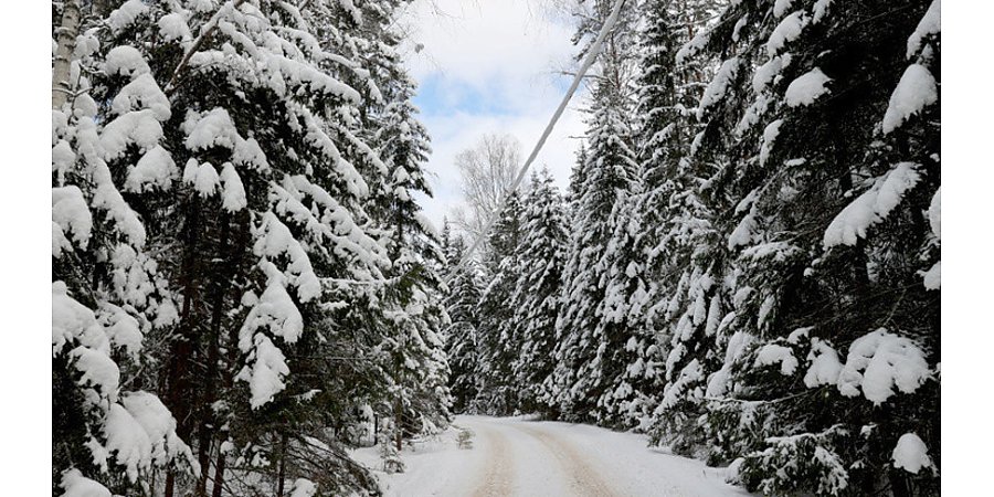 Облачно и до -13°С будет в Беларуси 10 февраля