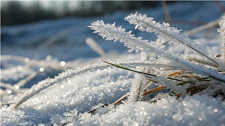Народные приметы на 31 января: что можно и нельзя делать в этот день