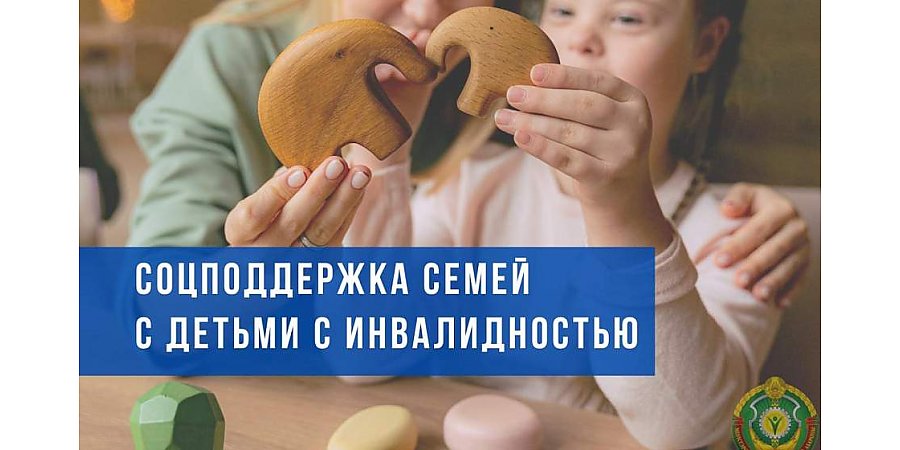 Какая поддержка оказывается семьям с детьми с инвалидностью