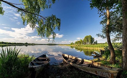 Природа, дача, рыбалка. Как проводят досуг белорусы